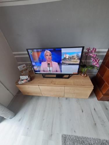 a flat screen tv sitting on top of a wooden stand at Apartma Aory in Bled