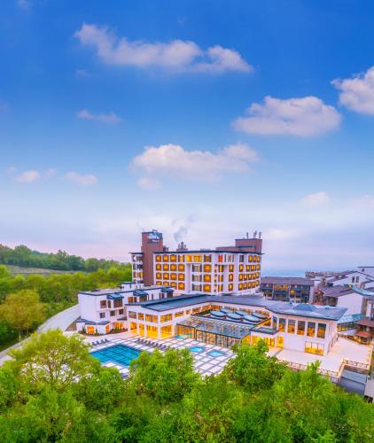 an aerial view of a resort with a swimming pool at Narven Wellness & Thermal Hotel in Yukarımahalle