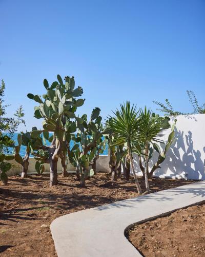 a walkway with palm trees and a wall at La Casa E Il Mare, Private Bay Hotel in Mattinata