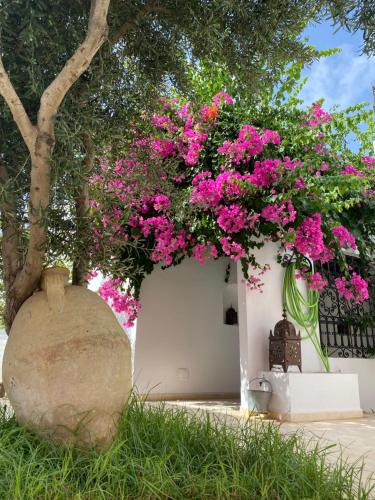 Gallery image of Dar Angi in Kelibia