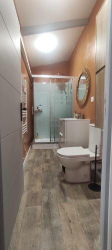 a bathroom with a toilet and a glass shower at Le Petit Clos des Chênes à 2 pas d'Avignon in Villeneuve-lès-Avignon