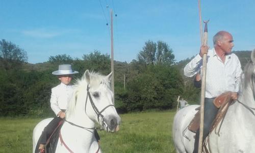 a couple of men riding on white horses at Chambres d'hôtes au Mas du Sire in Quissac