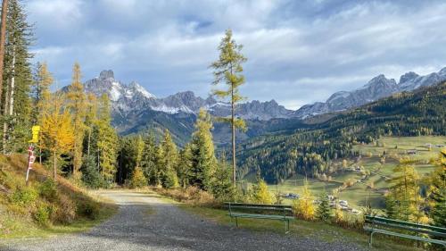 two benches on a road with mountains in the background at Haus Dorfblick in Filzmoos