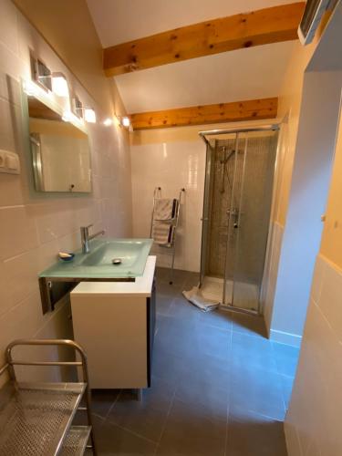 une salle de bain avec un lavabo et une douche dans l'établissement Studio équipé avec piscine partagée, à Marseille