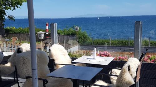 three stuffed animals sitting at a table in front of the ocean at Strandappartement Steinberghaff "zur Birk" mit Meerblick in Steinberg