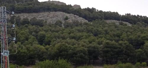 a hillside with trees and a mountain at Casa Cueva El Almendro in Pegalajar
