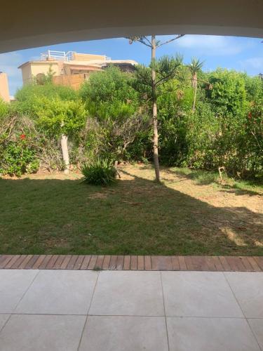 a view of a garden with a palm tree and a house at فيلا قرية المرجان الساحل الشمالي in El Alamein