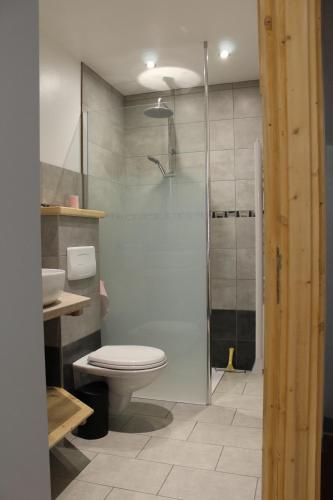 een badkamer met toilet en glazen douche bij Maison coeur de ville Rue calme in Gap