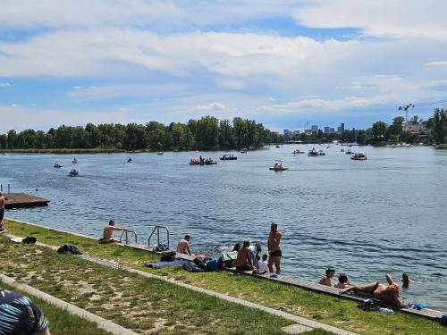 a group of people sitting on the shore of a lake at Yuki's Place - UN-VIC, Danube Beach and Subway near to Downtown Vienna in Vienna