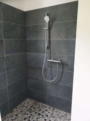 Bilik mandi di Altes Forsthaus Laubusch