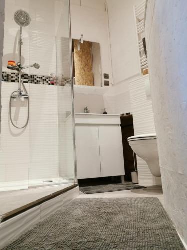 une salle de bain blanche avec douche et toilettes dans l'établissement villa Verdon 12 personnes piscine 25m, à Salernes