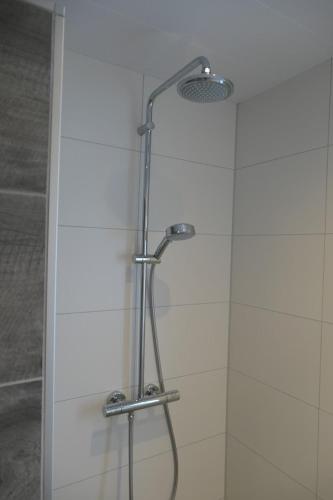 a shower stall with a shower head in a bathroom at Minicamping In de Bocht in Grijpskerke