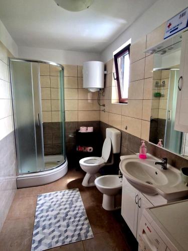 a bathroom with a shower and a toilet and a sink at Apartman Seka in Kraljevica