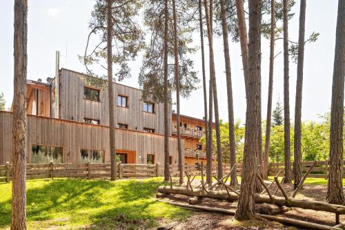 Um jardim em Schartneralm Latsche