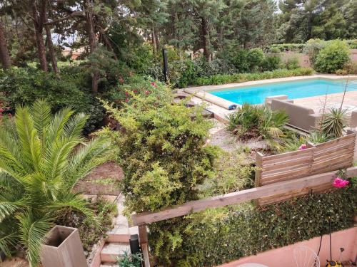 un jardin avec une piscine et quelques plantes dans l'établissement Boulouris entre mer et piscine, à Saint-Raphaël
