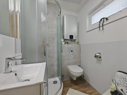 a bathroom with a sink and a toilet and a shower at Infinity Rožnov in Rožnov pod Radhoštěm