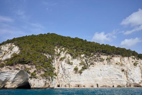 an island in the ocean with trees on it at La Casa E Il Mare, Private Bay Hotel in Mattinata