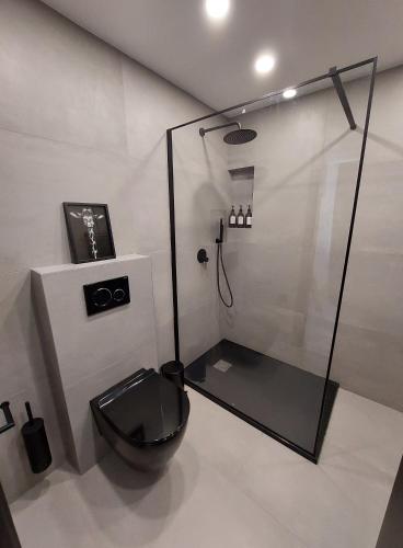 a bathroom with a black toilet and a shower at The Attic in Zagreb
