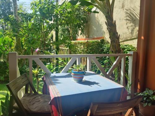 a blue table with a potted plant sitting on a porch at Casa de Lis Hotel & Tourist Info Centre in Turrialba
