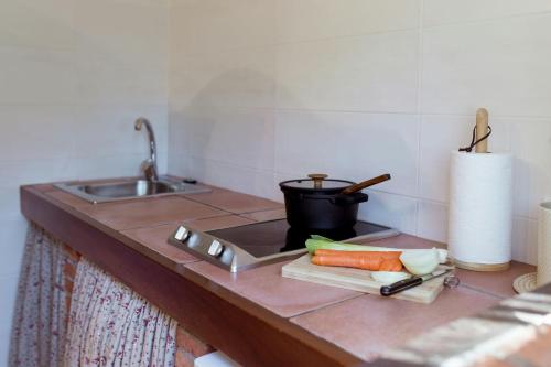 a kitchen counter with a cutting board with carrots and a pot at El Molino de Bonaco in San Vicente de la Barquera