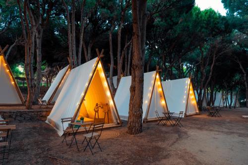 a row of tents sitting in a field with trees at Kampaoh Los Caños in Los Caños de Meca