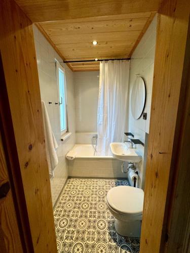 a bathroom with a toilet and a sink and a tub at Leopold's Apartments mit Garten und Vesteblick Mitten in Coburg in Coburg