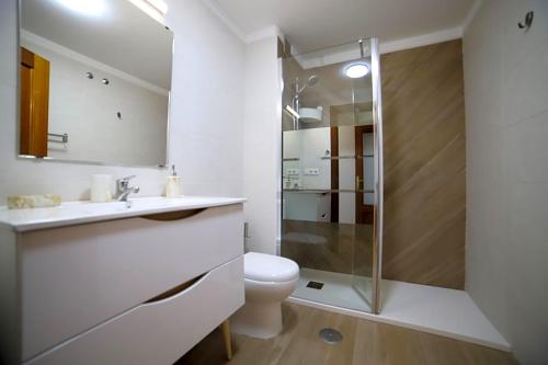 a bathroom with a shower and a toilet and a sink at Pensi&oacute;n Vegadeo Gij&oacute;n in Gij&oacute;n