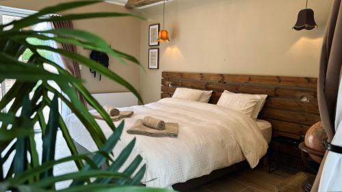 a bedroom with a bed with towels and a plant at Domaine Kaet in Ratenelle
