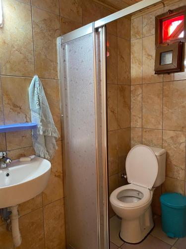 a bathroom with a shower and a toilet and a sink at DORUK Pansiyon in Çaykara