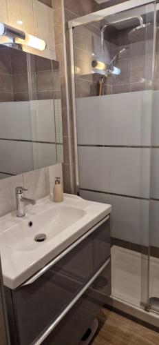 une salle de bain avec un lavabo et une douche dans l'établissement Le Claret, à Autrans