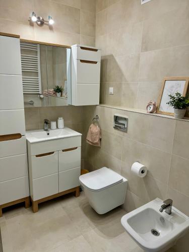 a bathroom with a sink and a toilet and a mirror at Apartament Magnacka Barczewski Dwór in Barczewo