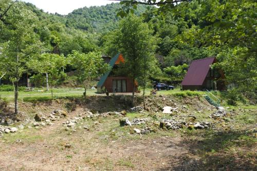 a house with a yard with rocks in front of it at Ecohouse Machakhela 4 in Machakhela
