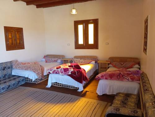 Hayaat siwa hot spring