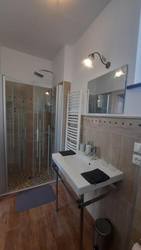 a bathroom with a sink and a shower at MAISON MAERTENS Chambres et tables d'hôtes in Wassy