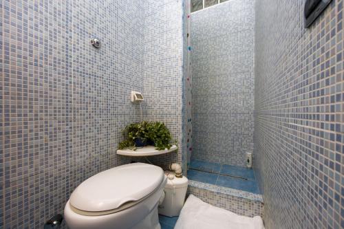 a bathroom with a toilet and a tiled shower at Maestoso Locazione Turistica in Rome