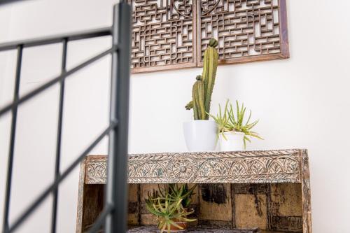 a cactus and potted plants sitting on a table at Am Schloss Guest House in Brunico