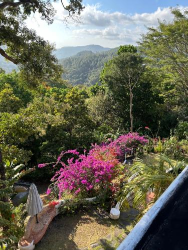 a view of a garden with flowers and trees at Exclusive Altos del Maria 2 Bedroom Apartment-Private Pool & Mountain Views in Sorá