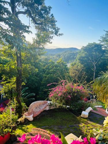 a garden with a teddy bear laying on the grass at Exclusive Altos del Maria 2 Bedroom Apartment-Private Pool & Mountain Views in Sorá