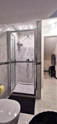 a bathroom with a shower and a sink at Appartman Tia in Polje