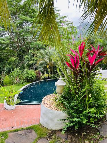 a swimming pool in a garden with pink flowers at Exclusive Altos del Maria 2 Bedroom Apartment-Private Pool & Mountain Views in Sorá