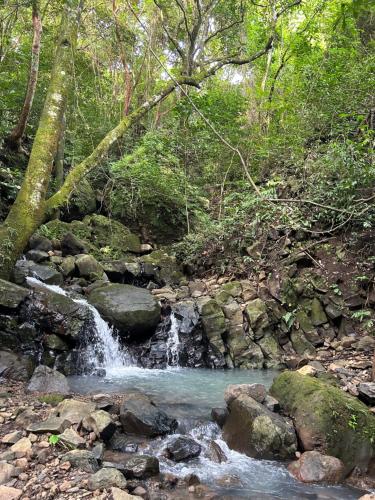 a small waterfall in the middle of a forest at Exclusive Altos del Maria 2 Bedroom Apartment-Private Pool & Mountain Views in Sorá