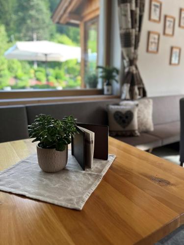 a potted plant sitting on top of a wooden table at Hotel Arnaria in Ortisei