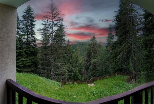 a view of a forest from a balcony at Mursala Pamporovo in Pamporovo