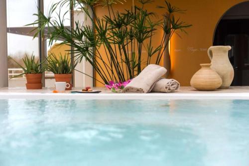 une piscine avec des plantes et des vases sur une table dans l'établissement studio Natureva accès piscine 224 B - Luxe - 2 personnes, au Cap d'Agde