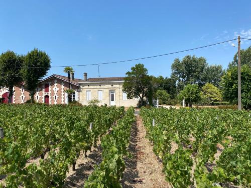 un champ de laitues devant une maison dans l'établissement Maison de charme au cœur du vignoble médocain avec un Spa, à Listrac-Médoc