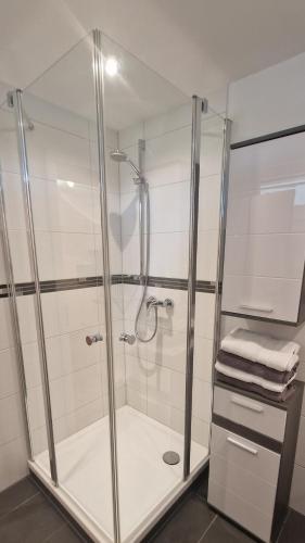 a shower with a glass enclosure in a bathroom at Ferienwohnung Schlossblick in Kippenheim