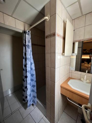 Koupelna v ubytování BRIT HOTEL LE VESOUL
