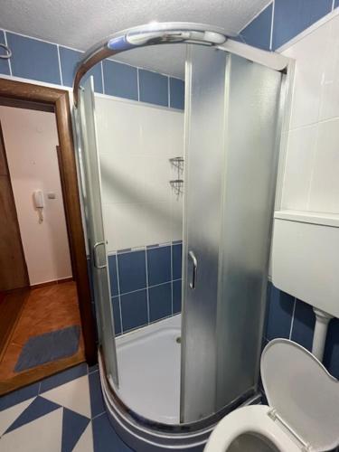 Billede fra billedgalleriet på Apartman Katic i Vrnjačka Banja