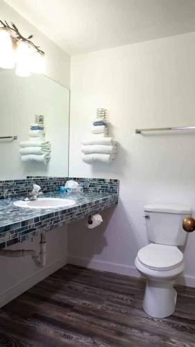 a bathroom with a toilet and a sink and a mirror at Riverwood Resort on the Gunnison in Delta