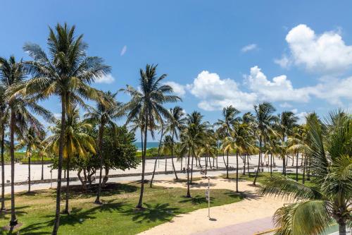 un grupo de palmeras en una playa en Pelican Hotel, en Miami Beach